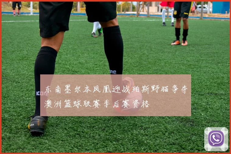 东南墨尔本凤凰迎战珀斯野猫争夺澳洲篮球联赛季后赛资格