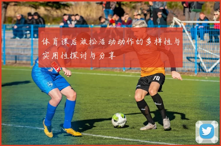 体育课后放松活动动作的多样性与实用性探讨与分享