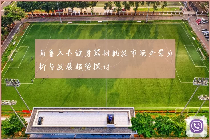 乌鲁木齐健身器材批发市场全景分析与发展趋势探讨