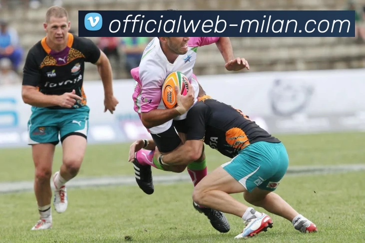 米兰官网平台生态图